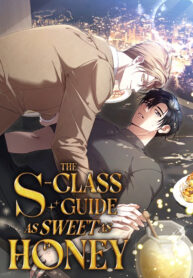 The S-Class Guide as Sweet as Honey yaoi smut manhwa